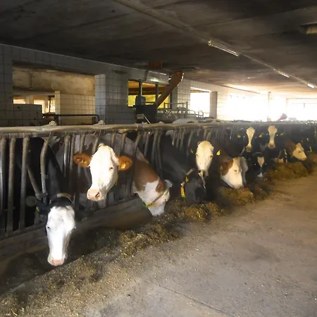 Apartamento Am Bauernhof Strassonig Vulgo Hornis