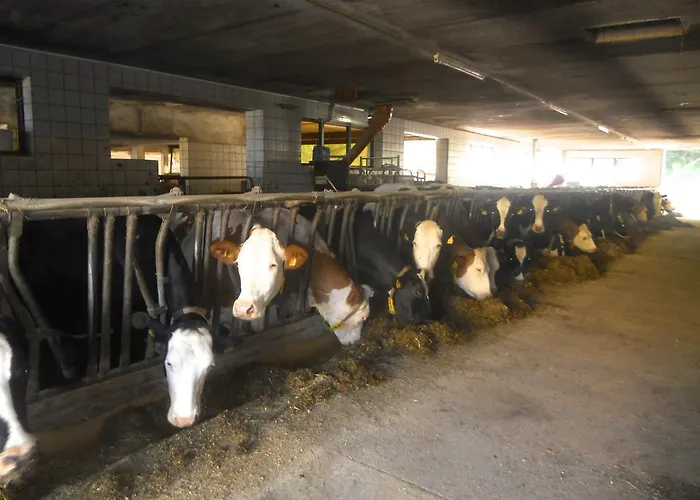 Appartement Am Bauernhof Strassonig Vulgo Hornis